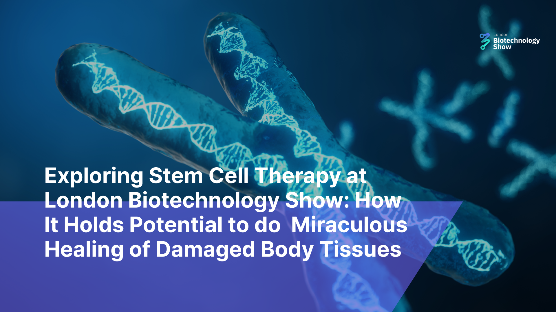 Exploring Stem Cell Therapy at London Biotechnology Show: How It Holds Potential to do Miraculous Healing of Damaged Body Tissues