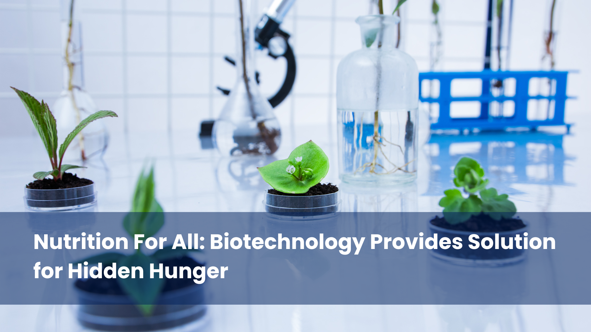 Nutrition For All: Biotechnology Provides Solution for Hidden Hunger
