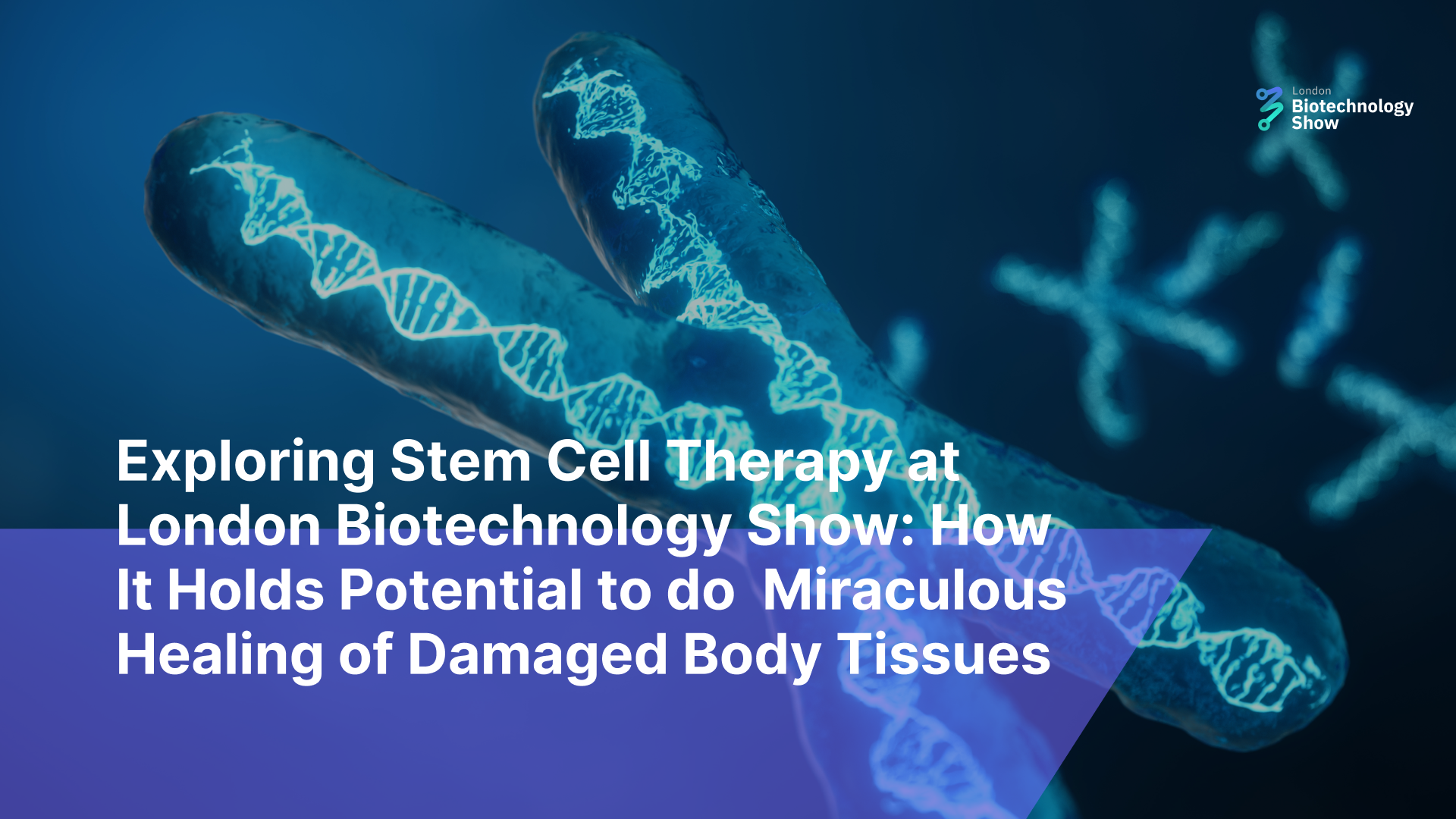 Exploring Stem Cell Therapy at London Biotechnology Show: How It Holds Potential to do  Miraculous Healing of Damaged Body Tissues