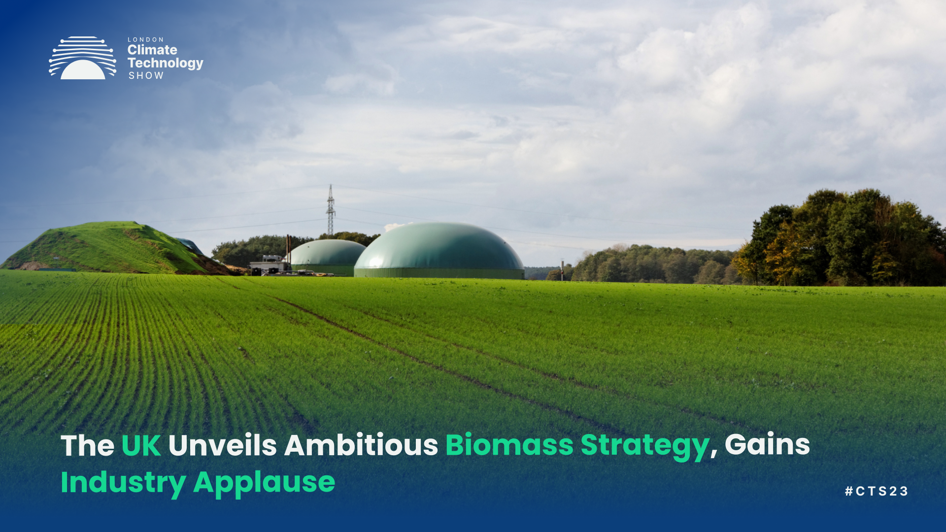 The UK Unveils Ambitious Biomass Strategy, Gains Industry Applause