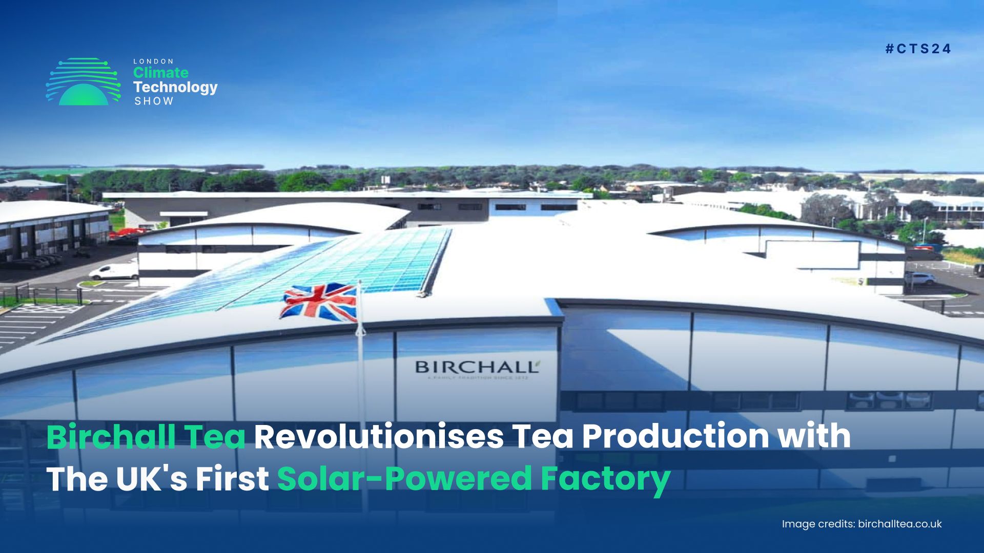 Birchall Tea Revolutionises Tea Production with The UK's First Solar-Powered Factory