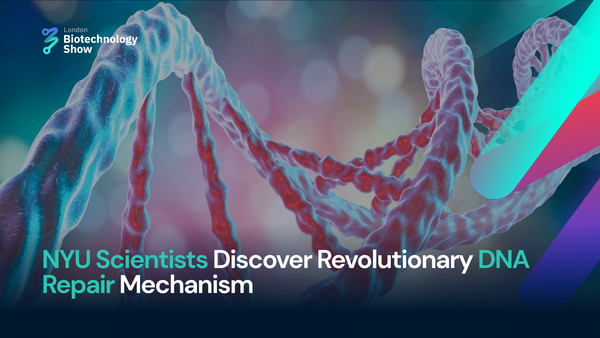 NYU Scientists Discover Revolutionary DNA Repair Mechanism