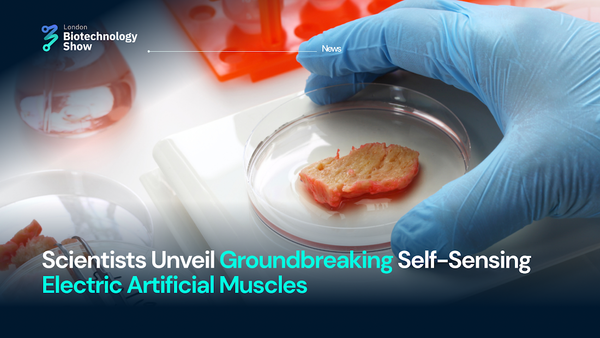 Scientists Unveil Groundbreaking Self-Sensing Electric Artificial Muscles