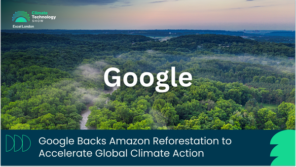 Google Backs Amazon Reforestation to Accelerate Global Climate Action